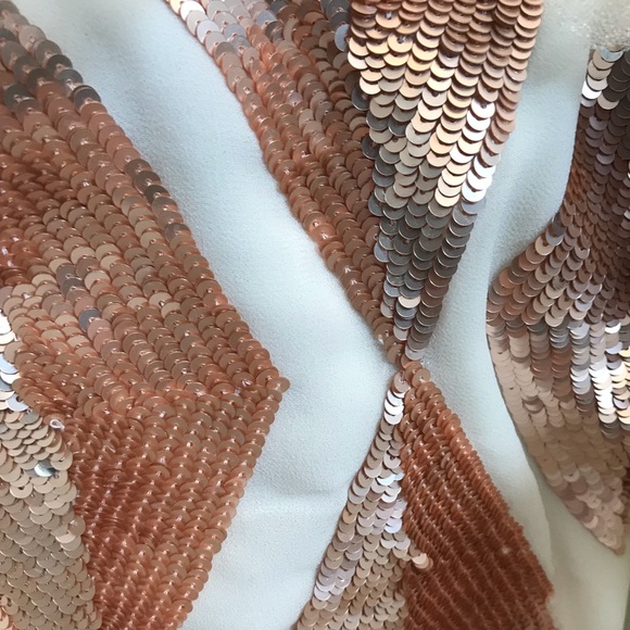 ☀️IVORY SEQUINS MESH DRESS - Picture 4 of 4